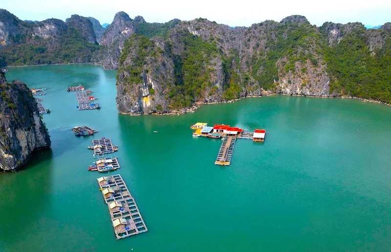 Làng Chài Vung Viêng